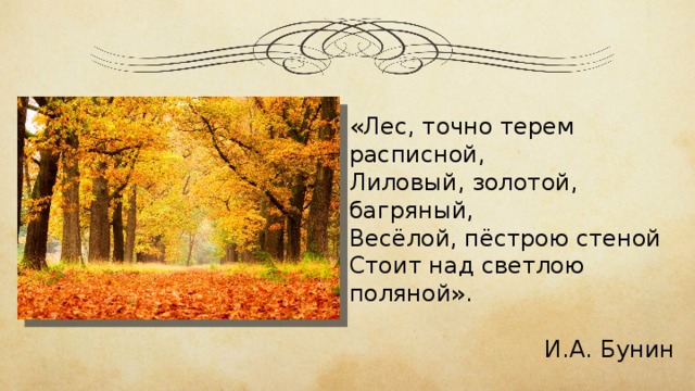 Что такое язык произведения. Смотреть фото Что такое язык произведения. Смотреть картинку Что такое язык произведения. Картинка про Что такое язык произведения. Фото Что такое язык произведения