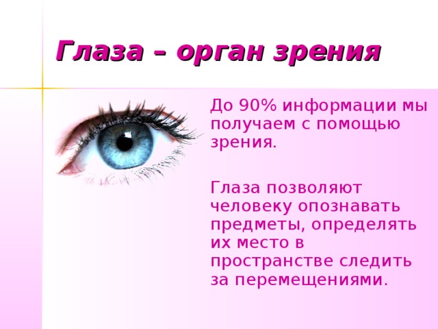 Глаза – орган зрения До 90% информации мы получаем с помощью зрения. Глаза позволяют человеку опознавать предметы, определять их место в пространстве следить за перемещениями. 