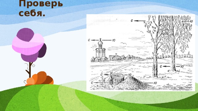 Проверь себя. 