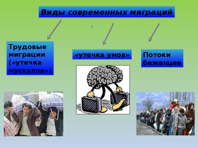 Презентация миграция в современном мире