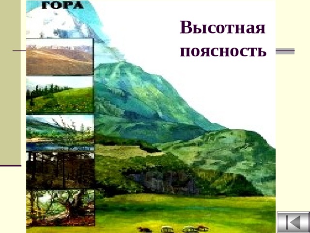 Высотная поясность кавказа 8 класс. Высотная поясность Кавказа. Высотная поясность Северного Кавказа. Высотная поясность это 6 класс.