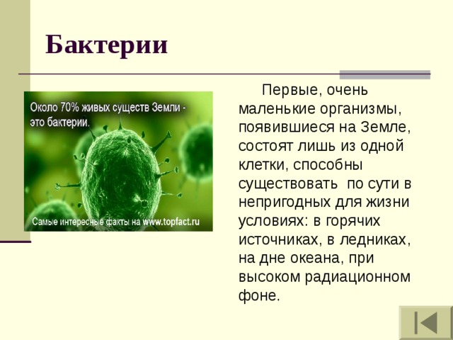 Первый организм появившиеся на земле. Интересные факты о бактериях. Первые организмы на земле. Первые бактерии. Самые интересные организмы.