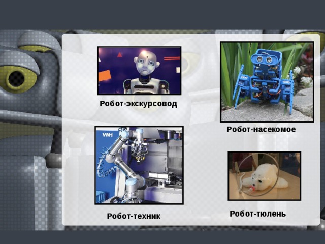 Робот-экскурсовод Робот-насекомое Робот-тюлень Робот-техник