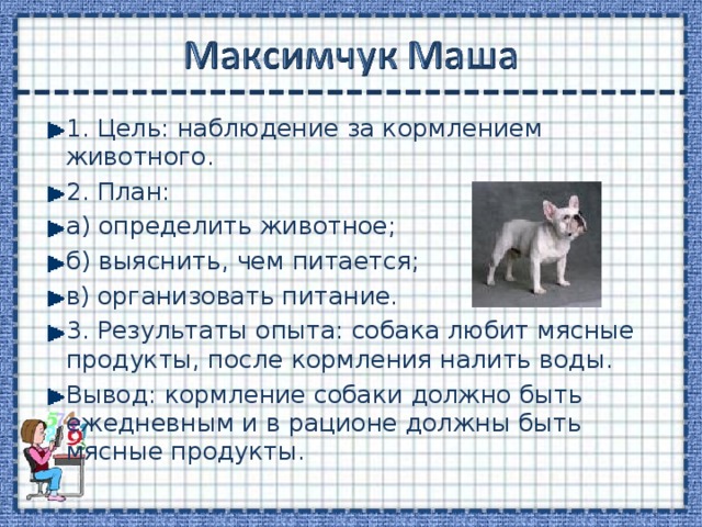 1. Цель: наблюдение за кормлением животного. 2. План: а) определить животное; б) выяснить, чем питается; в) организовать питание. 3. Результаты опыта: собака любит мясные продукты, после кормления налить воды. Вывод: кормление собаки должно быть ежедневным и в рационе должны быть мясные продукты. 