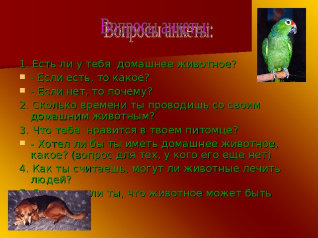 1. Есть ли у тебя домашнее животное? - Если есть, то какое? - Если нет, то почему? 2. Сколько времени ты проводишь со своим домашним животным? 3. Что тебе нравится в твоем питомце? - Хотел ли бы ты иметь домашнее животное, какое? (вопрос для тех, у кого его еще нет) 4. Как ты считаешь, могут ли животные лечить людей? 5. Считаешь ли ты, что животное может быть другом? 