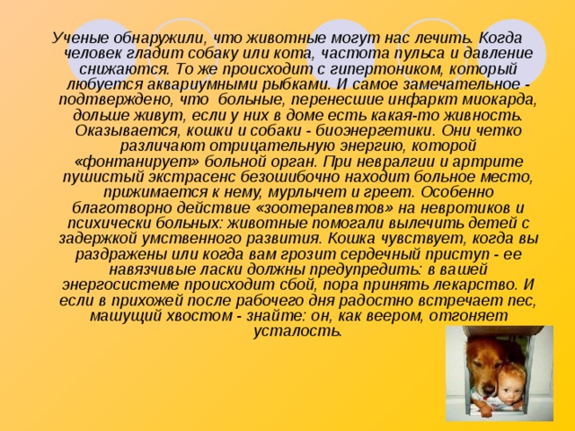 Ученые обнаружили, что животные могут нас лечить. Когда человек гладит собаку или кота, частота пульса и давление снижаются. То же происходит с гипертоником, который любуется аквариумными рыбками. И самое замечательное - подтверждено, что больные, перенесшие инфаркт миокарда, дольше живут, если у них в доме есть какая-то живность. Оказывается, кошки и собаки - биоэнергетики. Они четко различают отрицательную энергию, которой «фонтанирует» больной орган. При невралгии и артрите пушистый экстрасенс безошибочно находит больное место, прижимается к нему, мурлычет и греет. Особенно благотворно действие «зоотерапевтов» на невротиков и психически больных: животные помогали вылечить детей с задержкой умственного развития. Кошка чувствует, когда вы раздражены или когда вам грозит сердечный приступ - ее навязчивые ласки должны предупредить: в вашей энергосистеме происходит сбой, пора принять лекарство. И если в прихожей после рабочего дня радостно встречает пес, машущий хвостом - знайте: он, как веером, отгоняет усталость. 