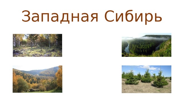 Природа сибири презентация 9 класс. Природа Западной Сибири презентация мир в котором мы живем.