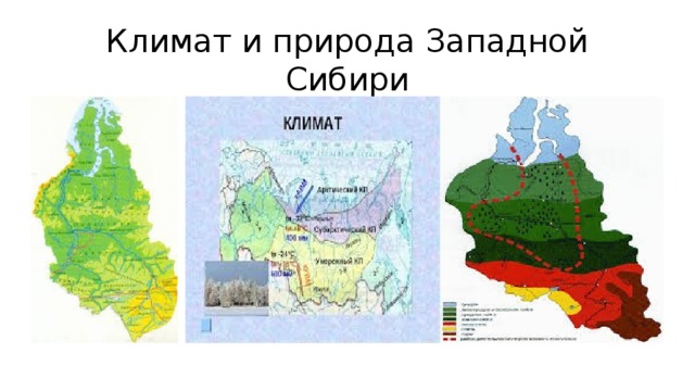 Карта природных зон западно сибирской равнины