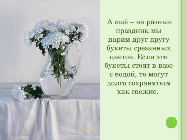  А ещё – на разные праздник мы дарим друг другу букеты срезанных цветов. Если эти букеты стоят в вазе с водой, то могут долго сохраняться как свежие. 