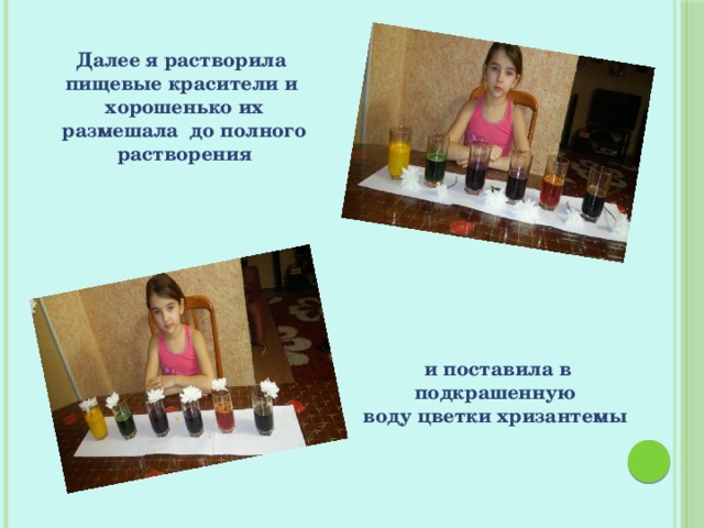 Далее я растворила  пищевые красители и хорошенько их размешала до полного растворения и поставила в подкрашенную воду цветки хризантемы  
