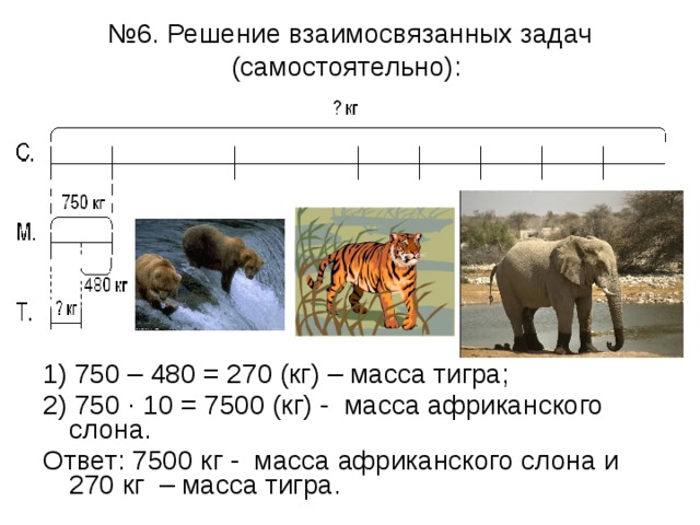 Средний вес тигра