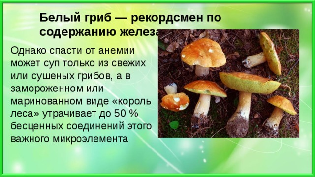 Белый гриб — рекордсмен по содержанию железа Белый гриб — рекордсмен по содержанию железа Белый гриб — рекордсмен по содержанию железа Однако спасти от анемии может суп только из свежих или сушеных грибов, а в замороженном или маринованном виде «король леса» утрачивает до 50 % бесценных соединений этого важного микроэлемента 