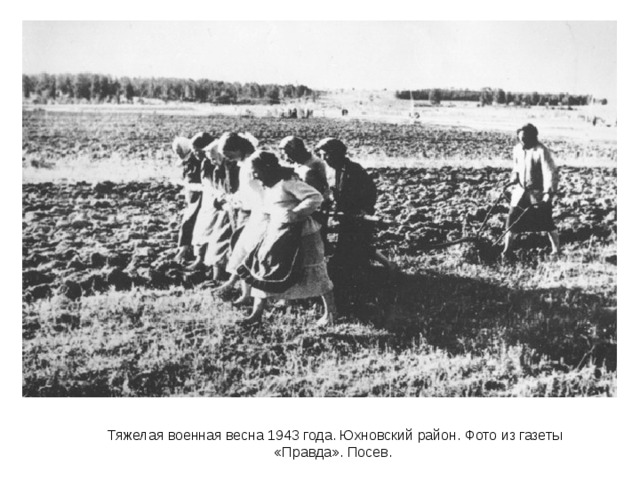 Тяжелая военная весна 1943 года. Юхновский район. Фото из газеты «Правда». Посев. 