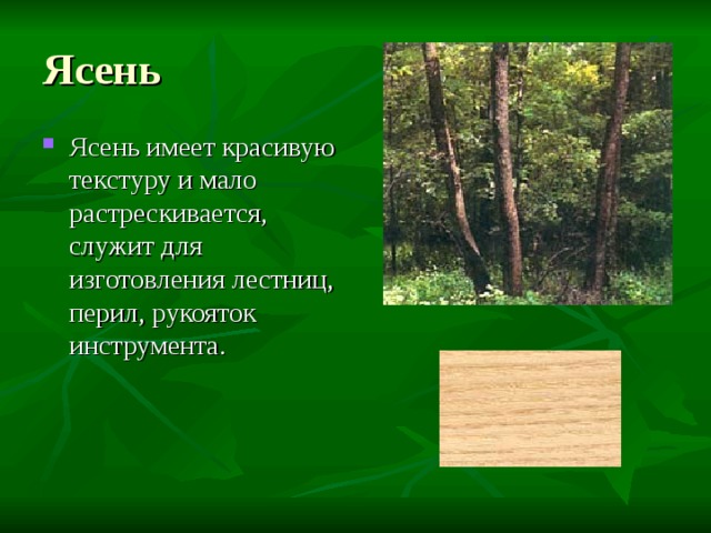 Презентация породы древесины