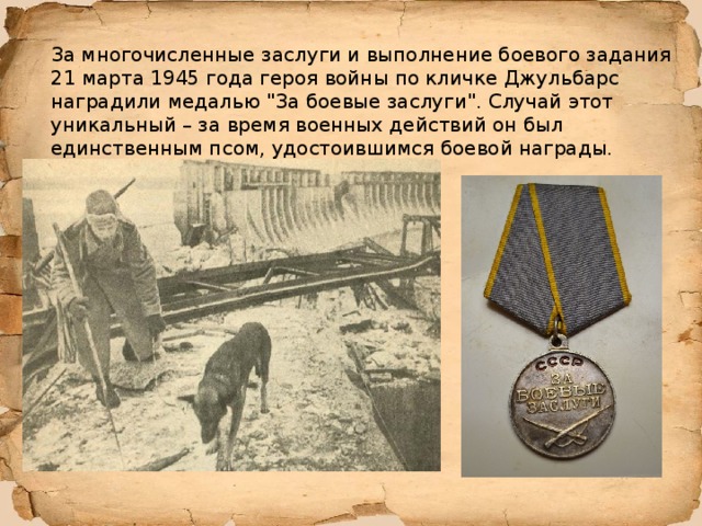 За многочисленные заслуги и выполнение боевого задания 21 марта 1945 года героя войны по кличке Джульбарс наградили медалью 