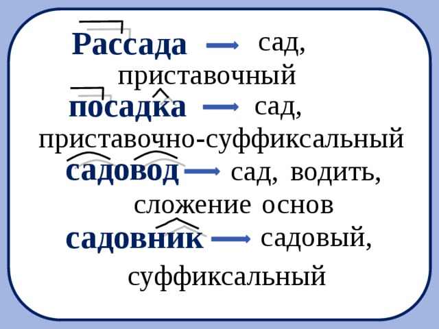 Образованы разбор