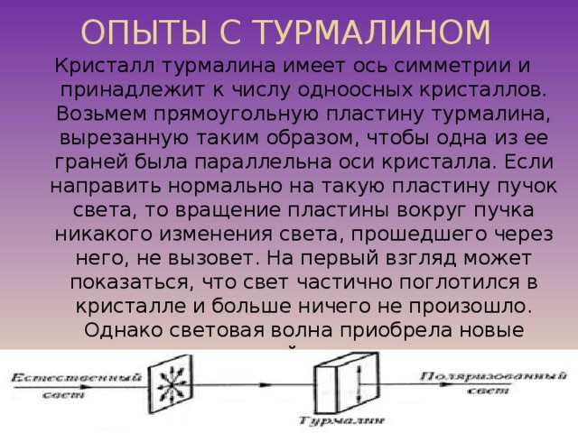 Поперечность световых волн поляризация света презентация 11 класс