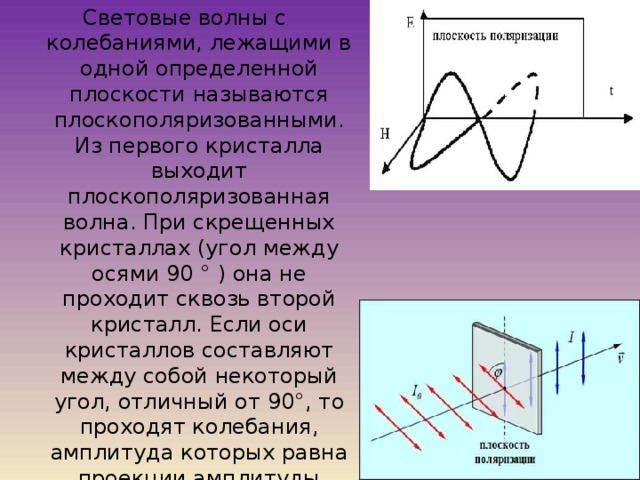 Поперечность световых волн поляризация света презентация 11 класс