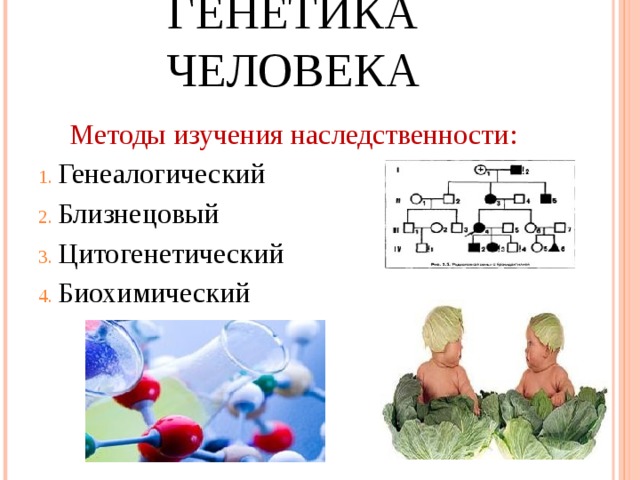 Методы наследственности