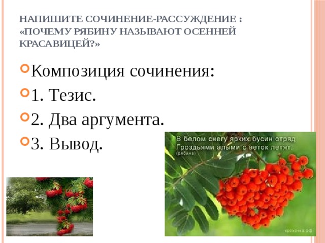 Напишите сочинение-рассуждение : «Почему рябину называют осенней красавицей?» Композиция сочинения: 1. Тезис. 2. Два аргумента. 3. Вывод. 