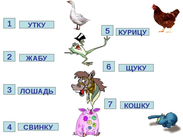 1 УТКУ 5 КУРИЦУ 2 ЖАБУ 6 ЩУКУ 3 ЛОШАДЬ 7 КОШКУ 4 СВИНКУ 