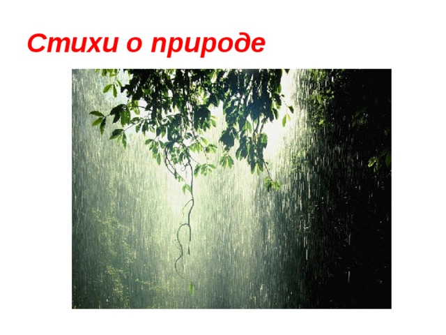 Стихи о природе 