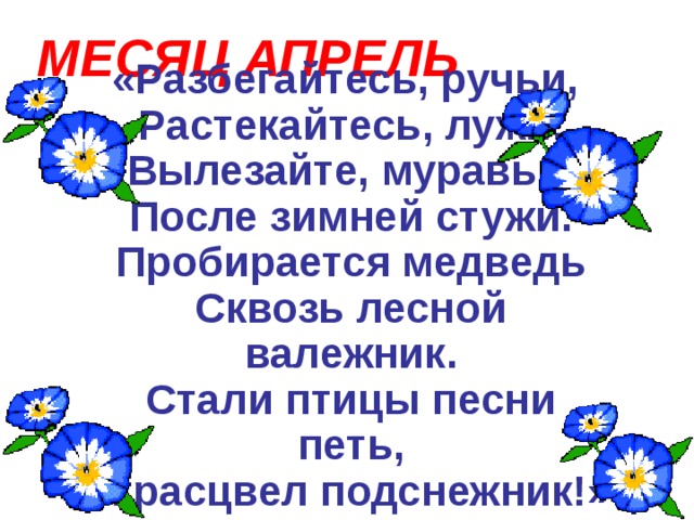 Вылезайте муравьи после зимней стужи схема предложения