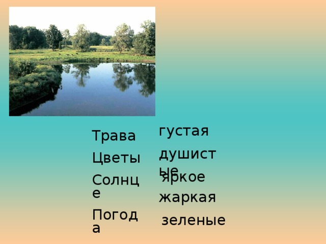 густая Трава Цветы Солнце Погода Деревья душистые яркое жаркая зеленые 