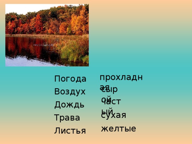 прохладная Погода Воздух Дождь Трава Листья сырой частый сухая желтые 