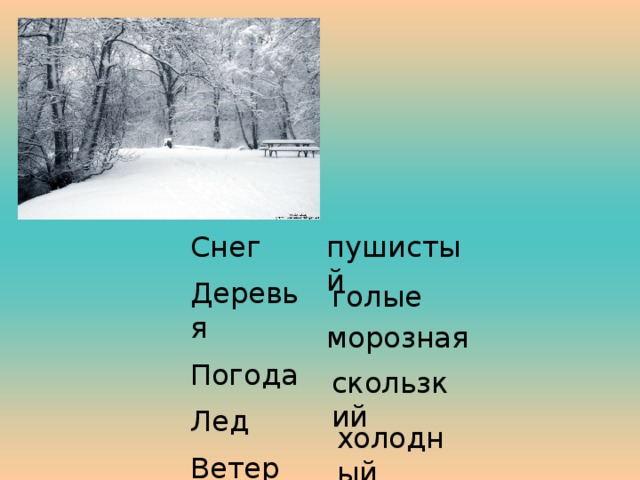 Снег Деревья Погода Лед Ветер пушистый голые морозная скользкий холодный 