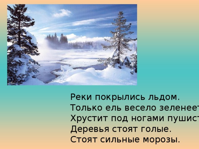 Реки покрылись льдом. Только ель весело зеленеет. Хрустит под ногами пушистый снег. Деревья стоят голые. Стоят сильные морозы. 