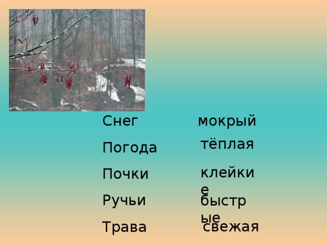 Снег Погода Почки Ручьи Трава мокрый тёплая клейкие быстрые свежая 