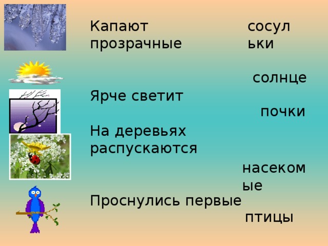 Капают прозрачные Ярче светит На деревьях распускаются Проснулись первые На ветках поют сосульки солнце почки насекомые птицы 