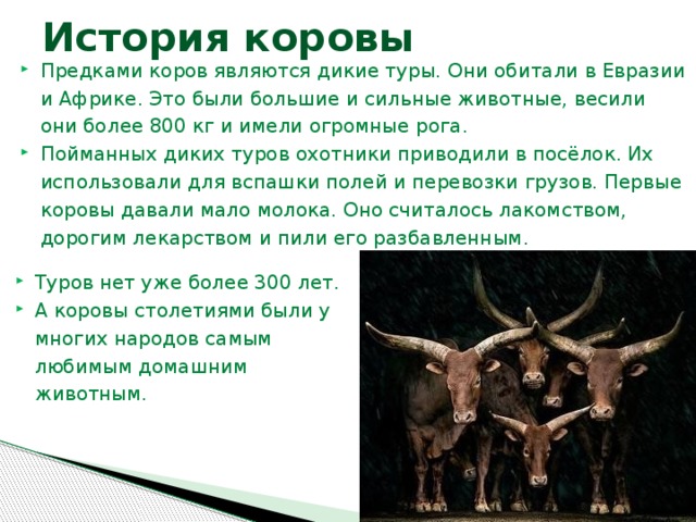 План рассказа корова толстого