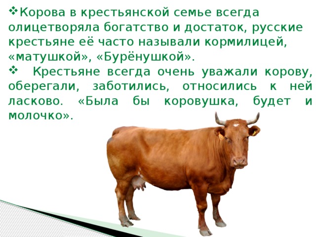 Корова в крестьянской семье всегда олицетворяла богатство и достаток, русские крестьяне её часто называли кормилицей, «матушкой», «Бурёнушкой».  Крестьяне всегда очень уважали корову, оберегали, заботились, относились к ней ласково. «Была бы коровушка, будет и молочко».