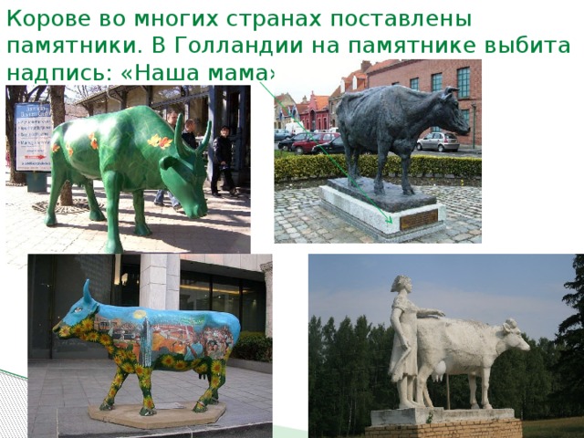 Корове во многих странах поставлены памятники. В Голландии на памятнике выбита надпись: «Наша мама».