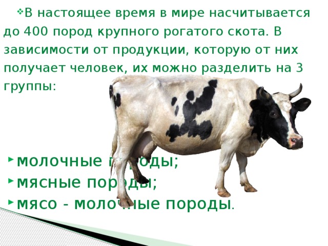 В настоящее время в мире насчитывается до 400 пород крупного рогатого скота. В зависимости от продукции, которую от них получает человек, их можно разделить на 3 группы: молочные породы; мясные породы; мясо - молочные породы .