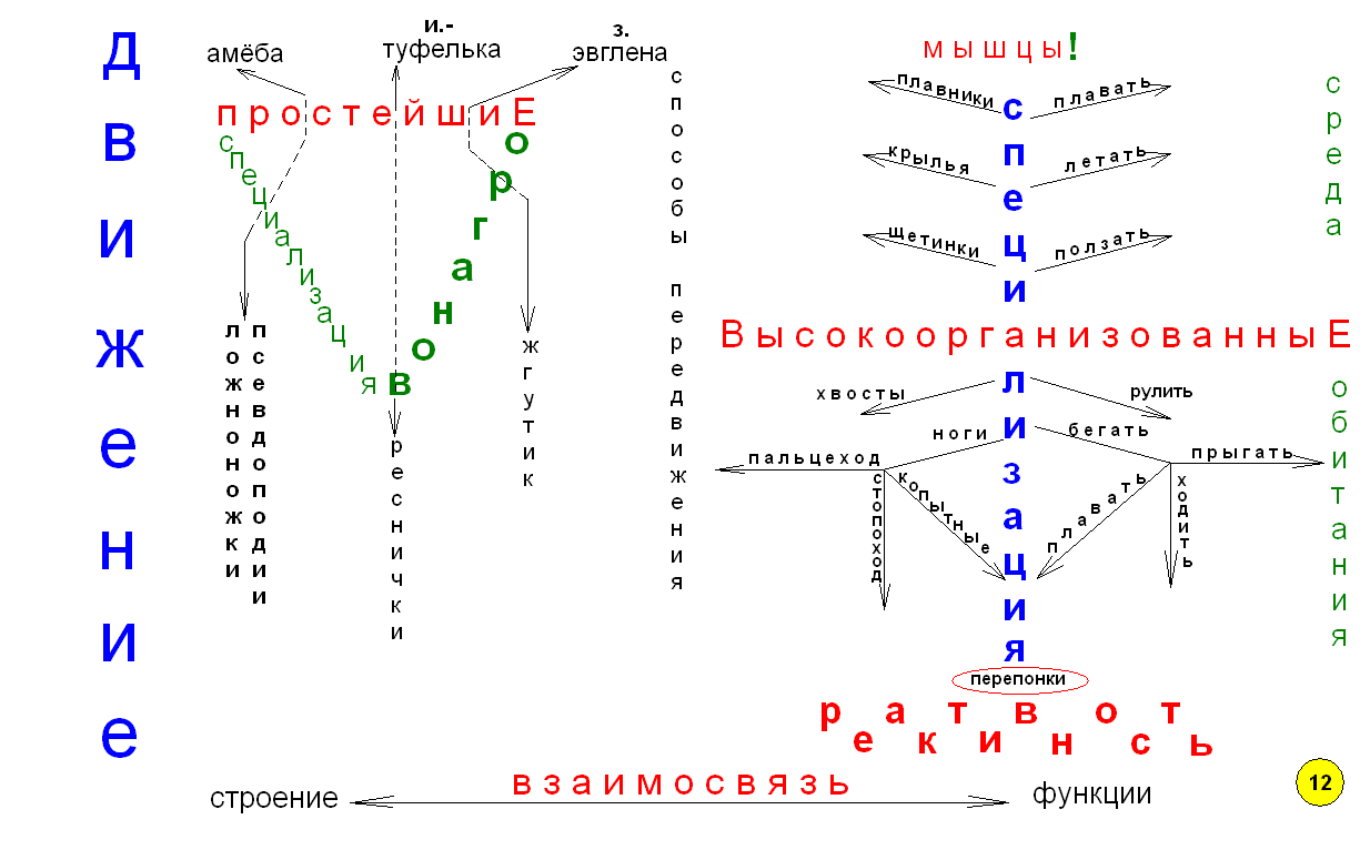 Что такое опорный конспект по биологии. Смотреть фото Что такое опорный конспект по биологии. Смотреть картинку Что такое опорный конспект по биологии. Картинка про Что такое опорный конспект по биологии. Фото Что такое опорный конспект по биологии
