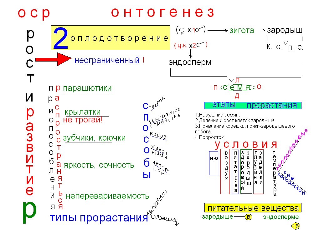 План конспект по биологии