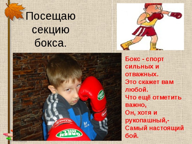 Информация про бокс для проекта