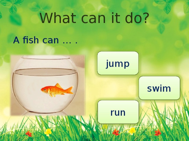 What can animals do план урока 2 класс