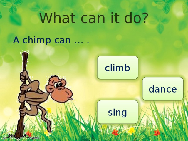 A chimp can sing