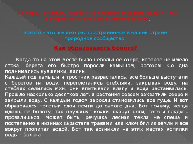 Ни море, ни земля, корабли не плавают, и ходить нельзя – так в старинной книге загадывается болото . Болото – это широко распространенное в нашей стране природное сообщество . Как образовалось болото?  Когда-то на этом месте было небольшое озеро, которое не имело стока, берега его быстро поросли камышом, рогозом. Со дна поднимались кувшинки, лилии. Каждый год камыши и тростник разрастались, все больше выступали с берегов на воду, переплетались стебля­ми, закрывая воду, на стеблях селились мхи, они впитывали влагу и вода застаивалась. Прошло несколько десятков лет, и растения совсем захватили озеро и закрыли воду. С каждым годом заросли становились все гуще. И вот образовался толстый слой почти до самого дна. Вот почему, когда идешь по болоту, так пружинят кочки, вязнут ноги, того и гляди – провалишься. Может быть, речушка лесная текла не спеша и постепенно в низинах зарастала трава­ми или ключ бил из земли и все вокруг пропитал водой. Вот так возникли на этих местах копилки воды – болота. 