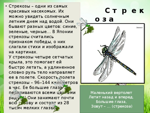 Сочинение по картине стрекоза