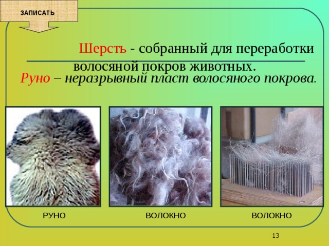 Дают шерсть какие. Строение шерсти. Виды шерсти животных. Структура шерсти животных. Волокна животного происхождения шерсть.