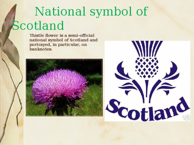 What is the symbol of scotland