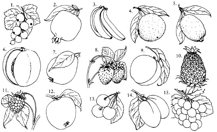 Рисунки фруктов и ягод