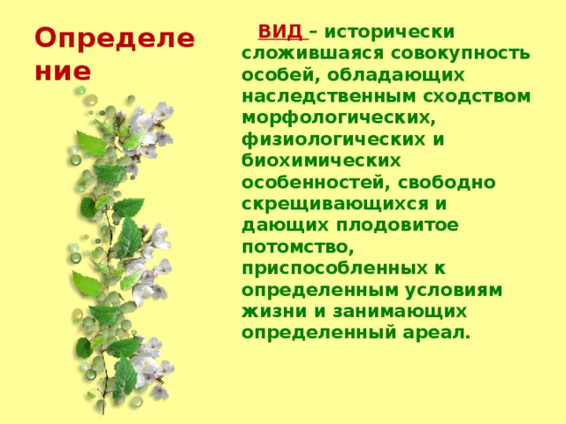 Определение  ВИД – исторически сложившаяся совокупность особей, обладающих наследственным сходством морфологических, физиологических и биохимических особенностей, свободно скрещивающихся и дающих плодовитое потомство, приспособленных к определенным условиям жизни и занимающих определенный ареал. 