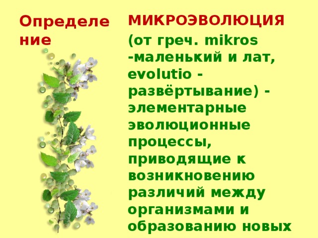 Определение МИКРОЭВОЛЮЦИЯ  (от греч. mikros -маленький и лат, evolutio - развёртывание) - элементарные эволюционные процессы, приводящие к возникновению различий между организмами и образованию новых видов. 