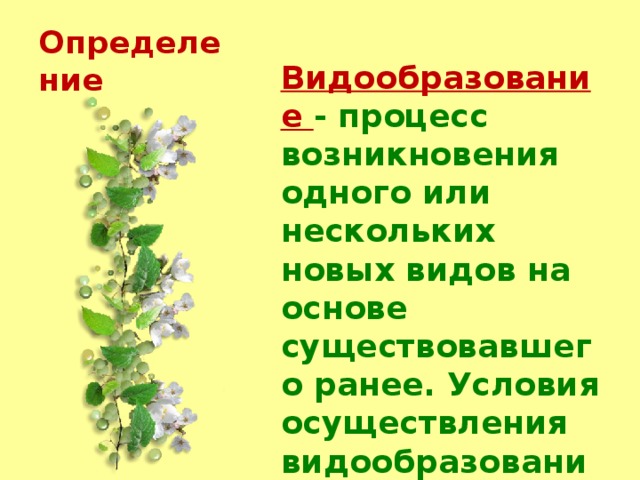 Определение  Видообразование -  процесс возникновения одного или нескольких новых видов на основе существовавшего ранее. Условия осуществления видообразования различны. 